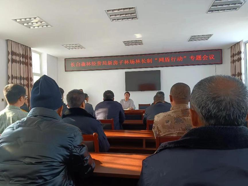 图片11.png